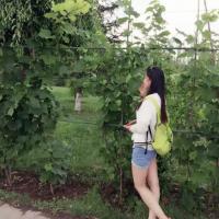 /photo/754110/炮友/psb (4)_1_2_small.jpg